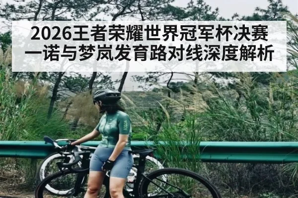 2026王者荣耀世界冠军杯决赛一诺与梦岚发育路对线深度解析